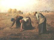 The Gleaners